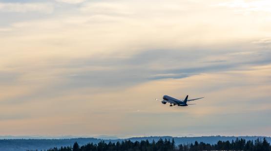 Flight Notification 