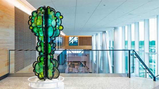 Your Guide to PNW-inspired Art in SEA’s Expanded C Concourse