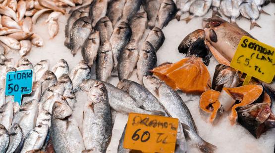 Fresh fish on display at a fish market