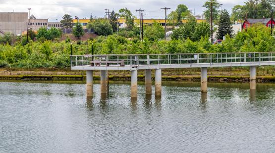 View of Duwamish River People's Park and pier from the Duwamish River.