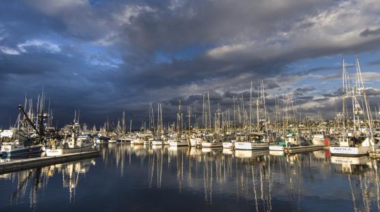 Fishermen's Terminal