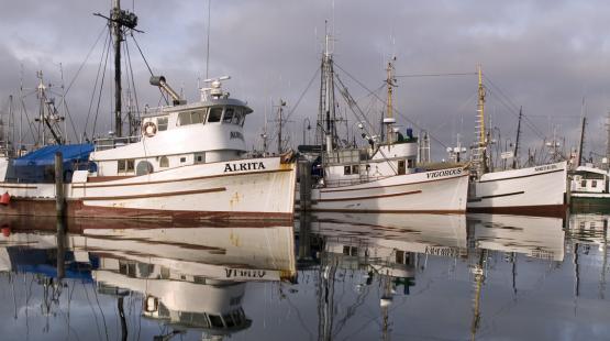 Fishermen's Terminal