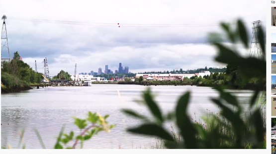 Salmon Cove Park and Shoreline Habitat Park, Tukwila, WA, July 2020