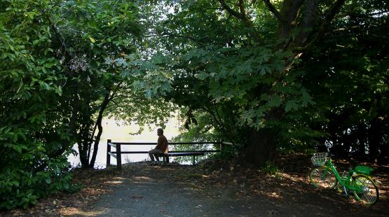 Man sits on a bench enjoying həʔapus Village Park and Shoreline Habitat, Seattle, Sept. 2018.
