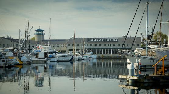 boats in front of Fishermen's Terminal