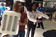 Security Checkpoint at Sea-Tac Airport