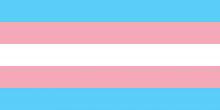 Transgender Flag