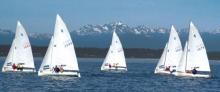 Sailboat regatta 