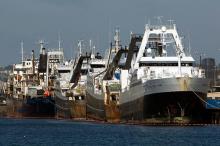 Fishing trawlers at Terminal 91