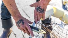 Fisher working on nets at Fishermen's Terminal