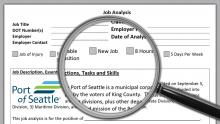 Screenshot of a Job Analysis document