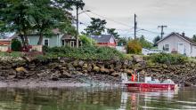 Tribal fisherman pulls in a sockeye salmon on the Lower Duwamish River