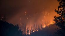 Forest Fires in Eastern Washington devastate the natural environment