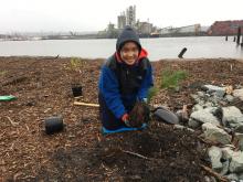 Youth volunteer planting trees along the Duwamish River
