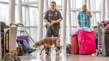 K9 Police offer surveys luggage