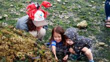 Volunteers and students of Beach Heroes, a 2018 recipient of the ACE Fund, discover sea life under rocks at Salt Water State Park