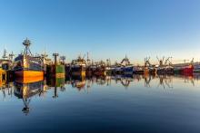 Boats at Fishermen's Terminal