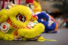 Lion dancer, lunar new year