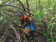 Sophia Cassam doing field work