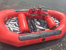 Evelyn Clark next to friend holding salmon in fishing raft
