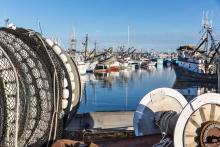 View of commercial fishing vessels from the deck of a boat
