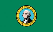Washington State flag