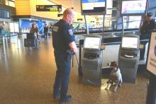 Officer Bella on patrol in the terminal