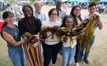 High School Interns holding kelp