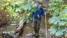 Environmental staff monitor the health of Miller Creek
