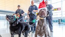 Ther Port of Seattle Police Canine crew is hyped and ready to keep mishaps and mayhem to a minimum at SEA during the 2019 holiday season