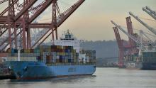 Cargo ships berthed at Terminal 30 in Seattle Harbor