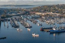 Aerial view of Puget sound and Fishermen's Terminal
