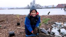 Youth plants a native species tree along the shores of the Duwamish River, April, 2019, Seattle