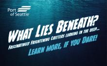 What Lies Beneath Blog Header