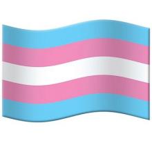 Transgender Pride flag 