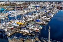 Boats at Fishermen's Terminal