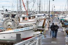 Fishermen's Terminal Visitors