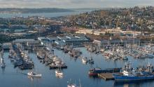Aerial view of fishing boats at Fishermen's Terminal