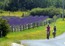 biking the San Juan Islands
