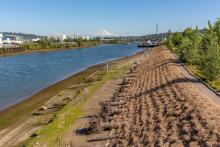 duwamish river and shoreline