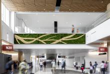 Canopy photo by Rafael Soldi 