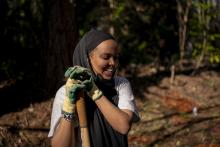 Click image to go to the Green Jobs page