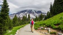 Hiker on a trail in Mount Rainier National Park