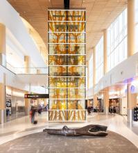 Cathedral is etched glass installation around a elevator in the North Satellite and bronze log near the elevator