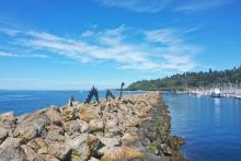 Aerial image of Shilshole Bay Marina
