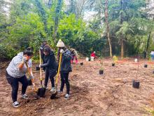 People planting trees in a Park