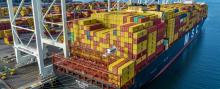 Cargo on MSC Virgo container ship
