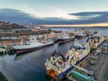 Factory trawlers at Terminal 91