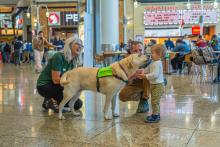 Travelers smiling and interacting with SEA Pup and Volunteer. 
