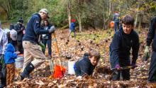 Port staff and community members plant trees 